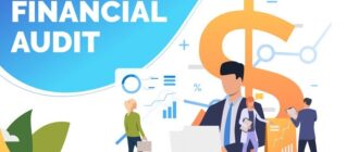 Bookkeeping and auditing practices in Dubai and the broader UAE in the year 2025